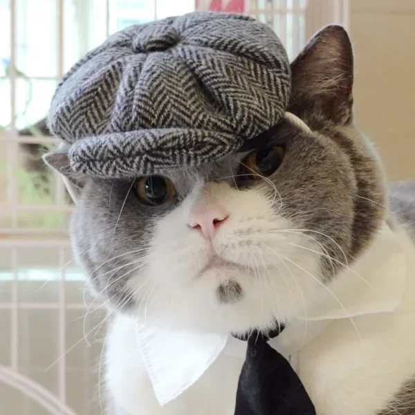 Funny Cat Clothes: Gentleman's Hat & Gangster Halloween Costume - Image 9