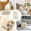 Cat Clothes Cute Printed Princess Sundress Dress For Puppy Kitten - Image 6