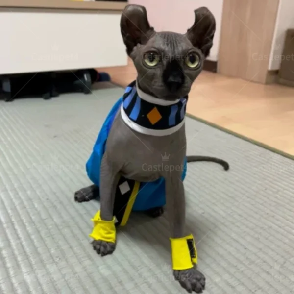 Handmade Sphinx Cat Costumes: Crotch-Proof Cat Clothes for Etsy - Image 2