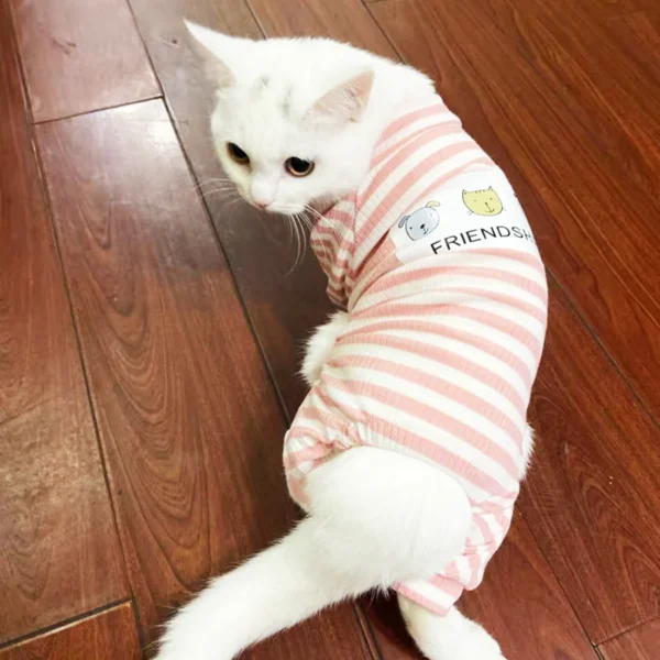 Cat Clothes Soft Cotton Stripe Print Pajamas For Small Pets Outfits - Image 11
