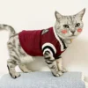 Warm Cat Clothes: Autumn Winter Sweater and Coat for Pets - Image 5