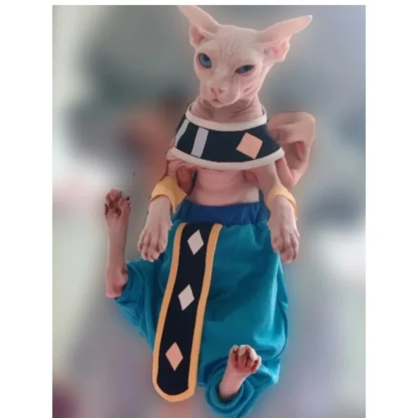 Handmade Sphinx Cat Costumes: Crotch-Proof Cat Clothes for Etsy
