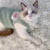 Cats Accessories Warm Winter Clothes Kittens Sweater Vests Apparels - Image 3