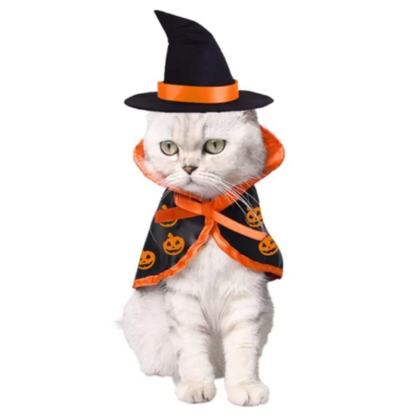 Cute Cat Clothes: Halloween Witch Hat and Pumpkin Costume for Pets - Image 3