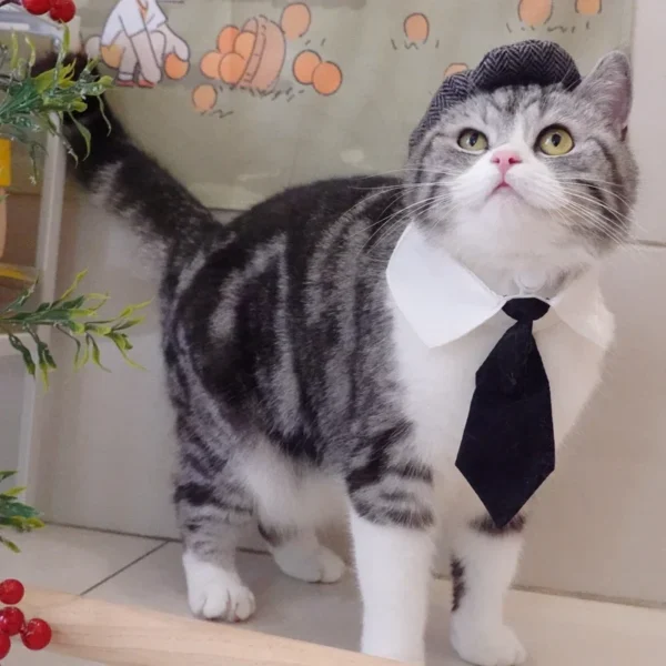 Funny Cat Clothes: Gentleman's Hat & Gangster Halloween Costume - Image 4