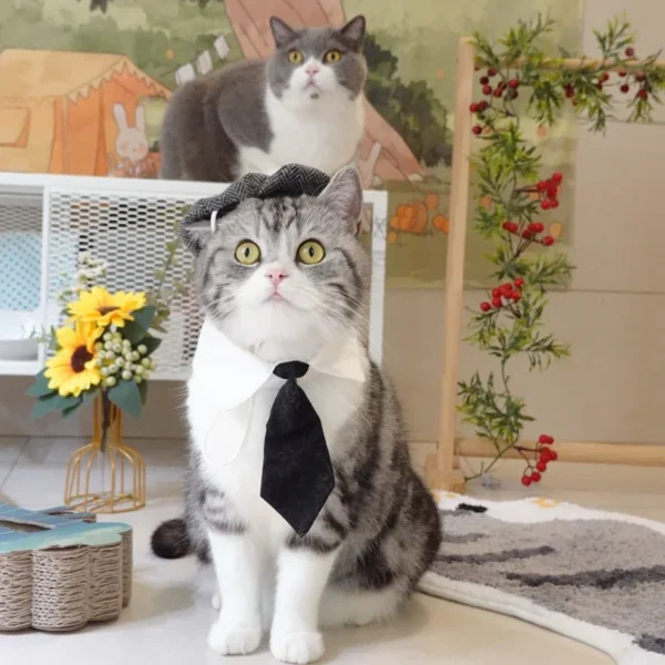 Funny Cat Clothes: Gentleman's Hat & Gangster Halloween Costume - Image 3
