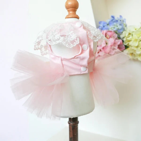 Lace Bow Tie Cat Clothes: Princess Dress with Tutu for Small Dogs - Image 6